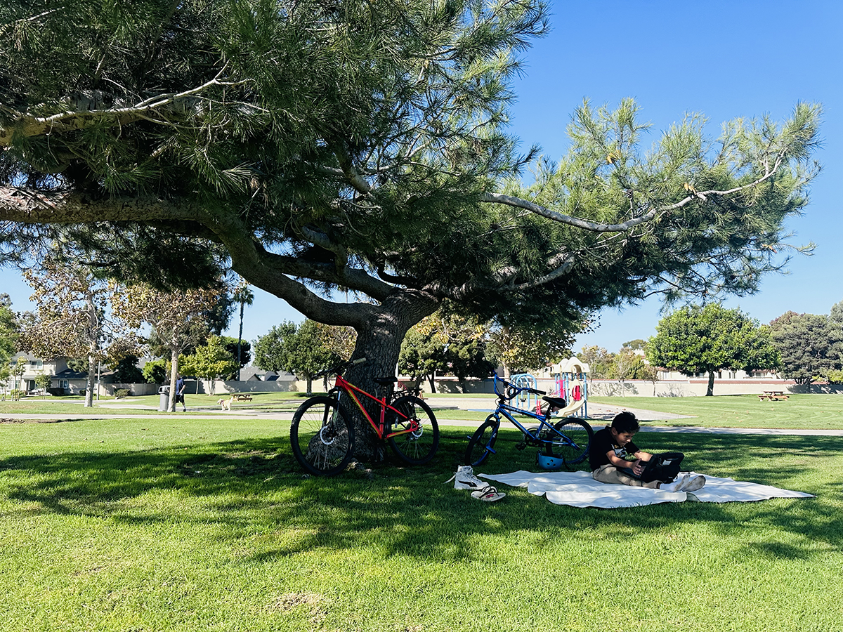 White Picnic Blanket - 100% Cotton Beach Canvas 4'9”x 6'3”